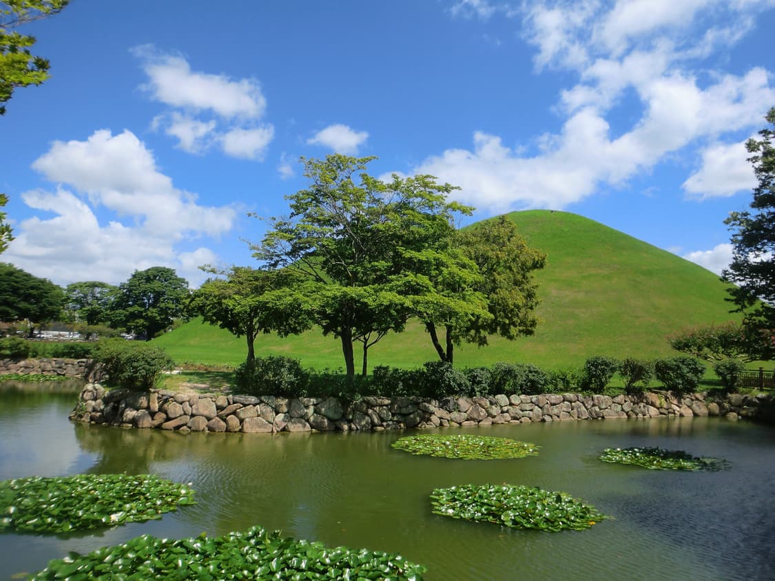 카시오 엑슬림 ex-z550 casio exilim 디카(작례o내용필독) 상품이미지9