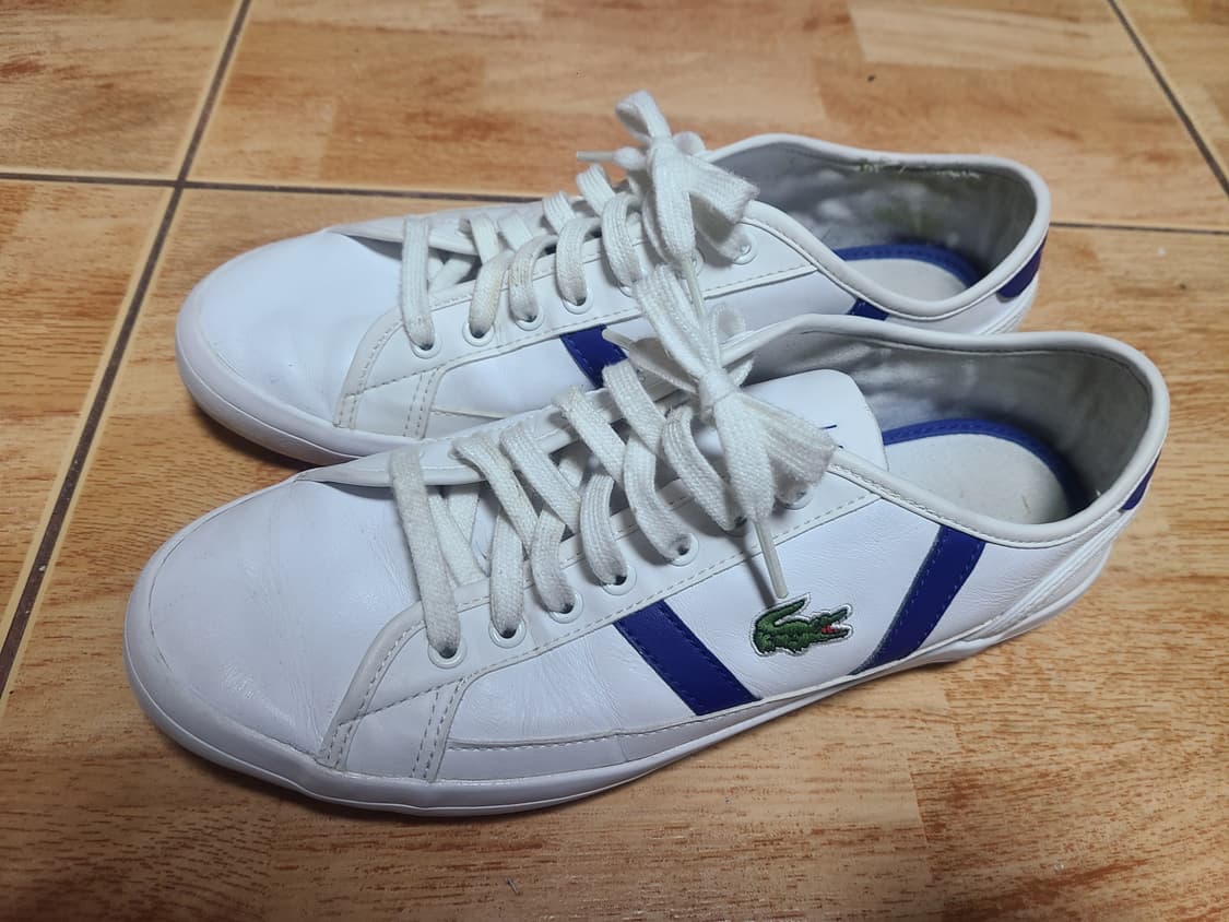 라코스테 사이드라인 270(265추천) 상품이미지1