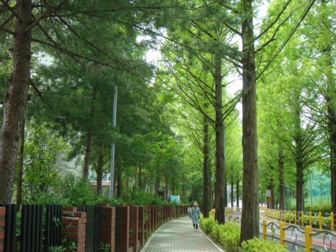 풀구성 소니 사이버샷 DSC-T20 실버디카 빈티지디카 캐논디카 파나소닉 상품이미지9