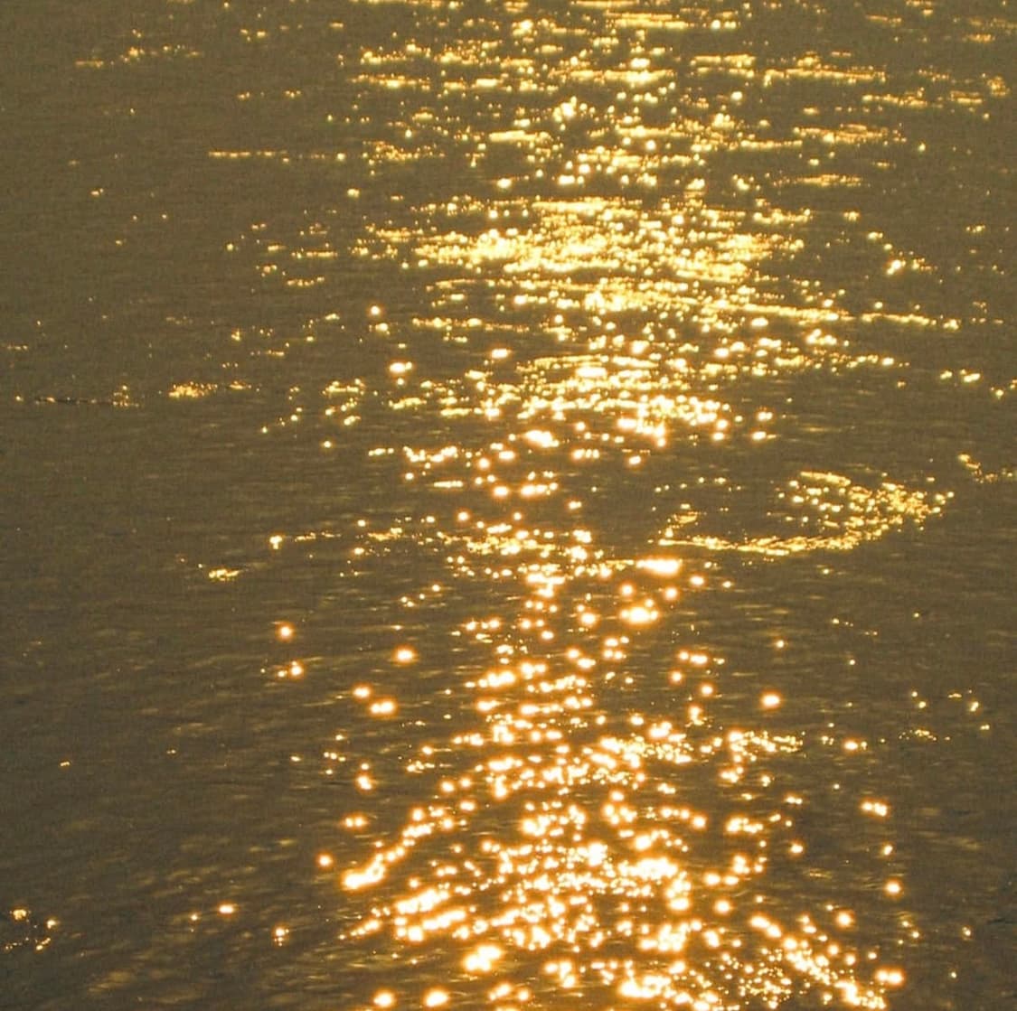 캐논 익시 Canon IXY 160 레드 디지털카메라 디카 상품이미지7