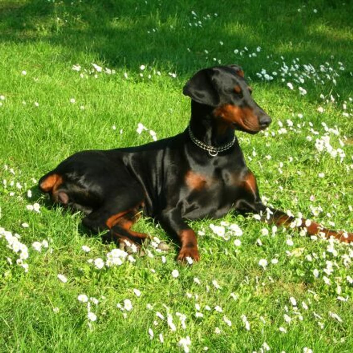 📸 🖤 [한국어지원] 니콘 Coolpix 7900 블랙 판매합니다 ✨ 상품이미지6