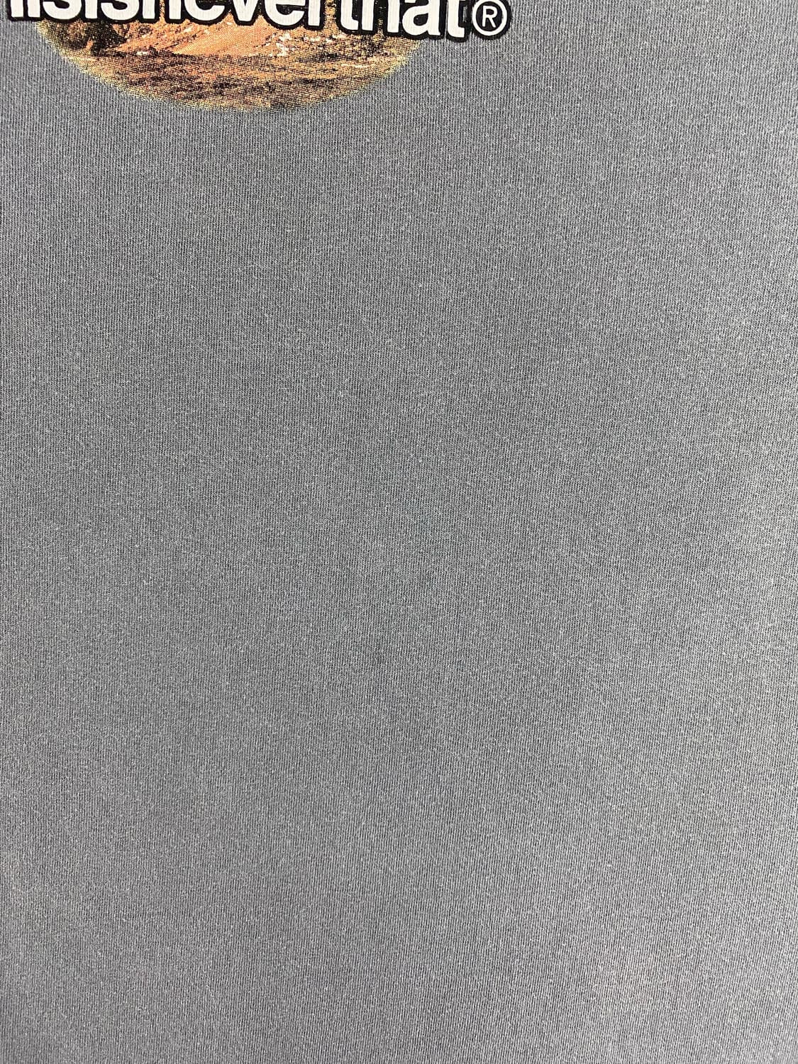 디스이즈네버댓 오버다이드 마스 차콜 반팔티 L <188> 상품이미지6