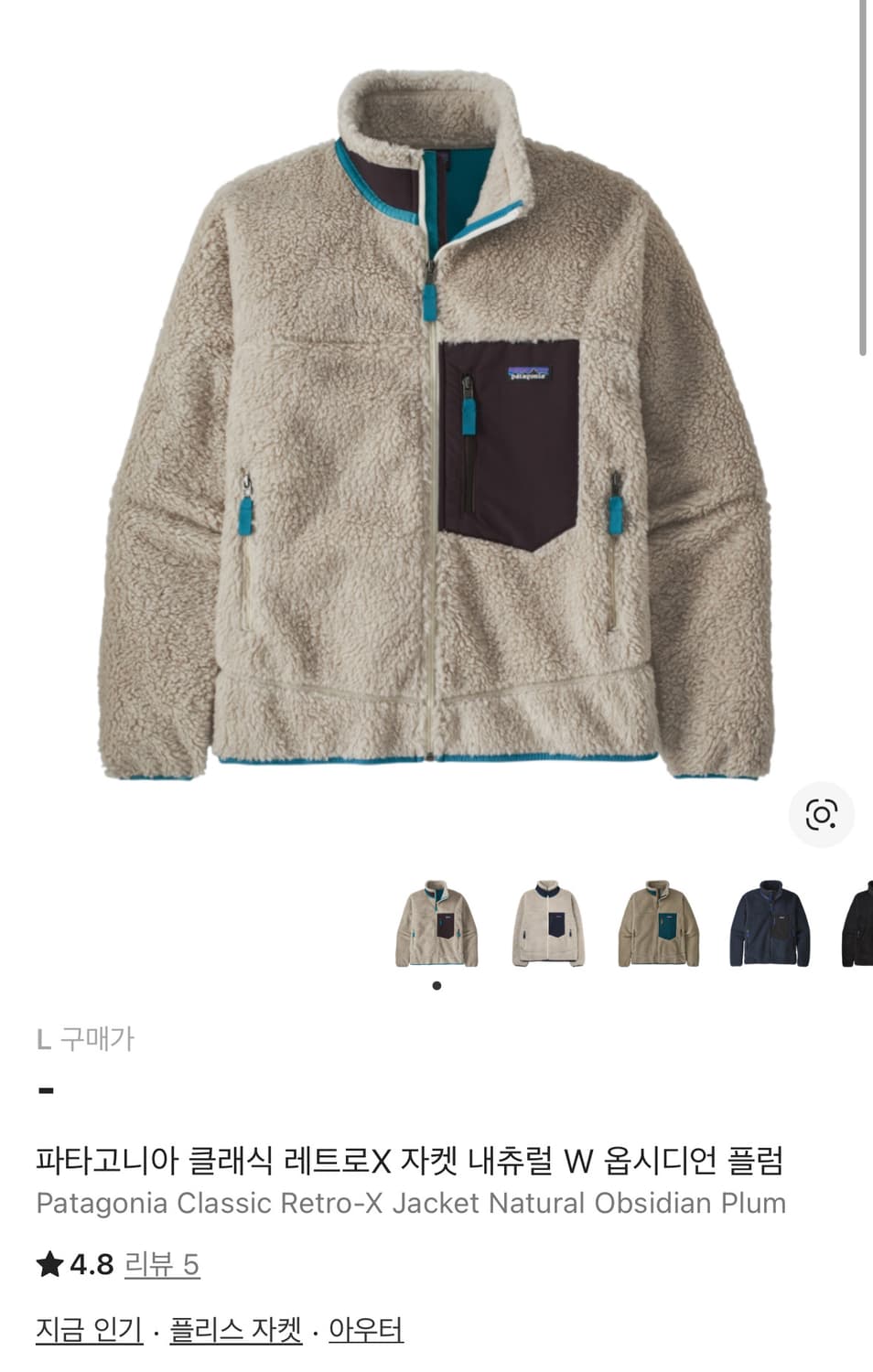 파타고니아 레트로 X  옵시디언 플럼 상품이미지10