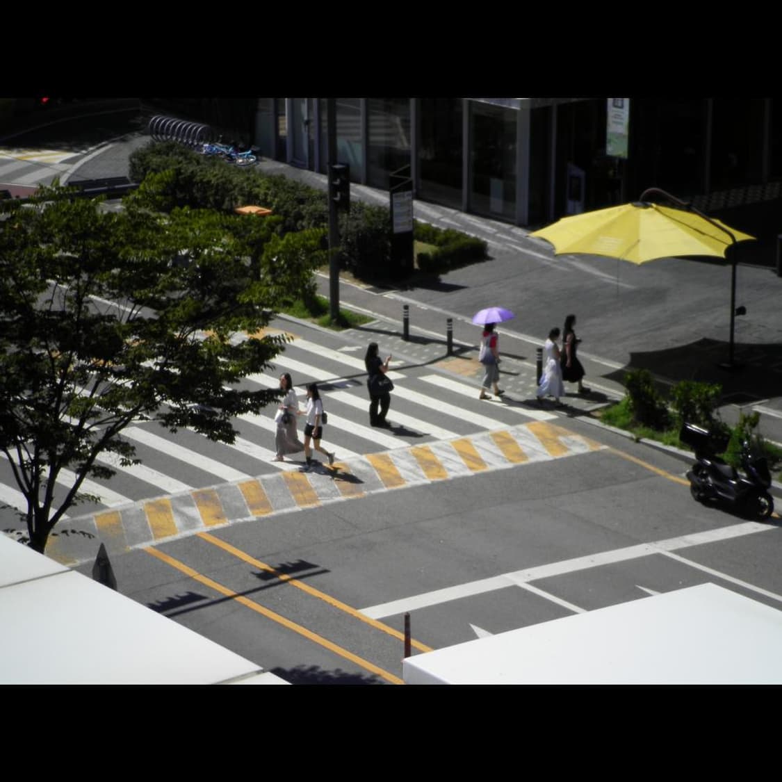 작례⭕️  산요 dsc-x1260 레드버건디🍷 (품번_BB196)  상품이미지7