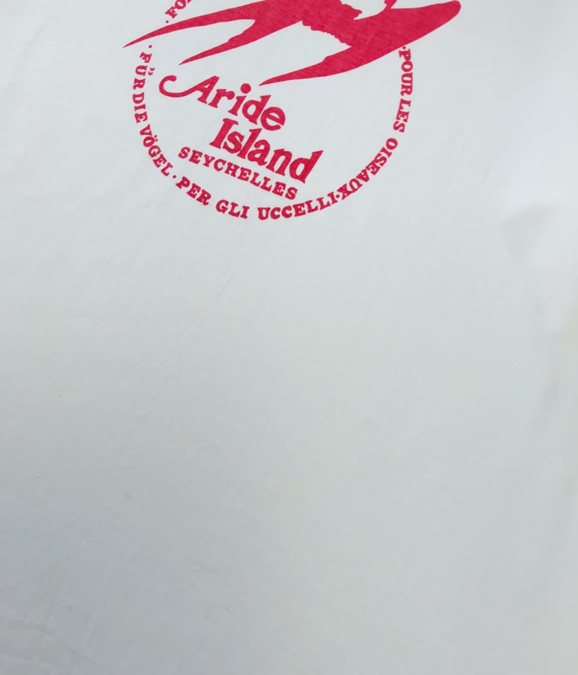 CATTLEYA 상품이미지6