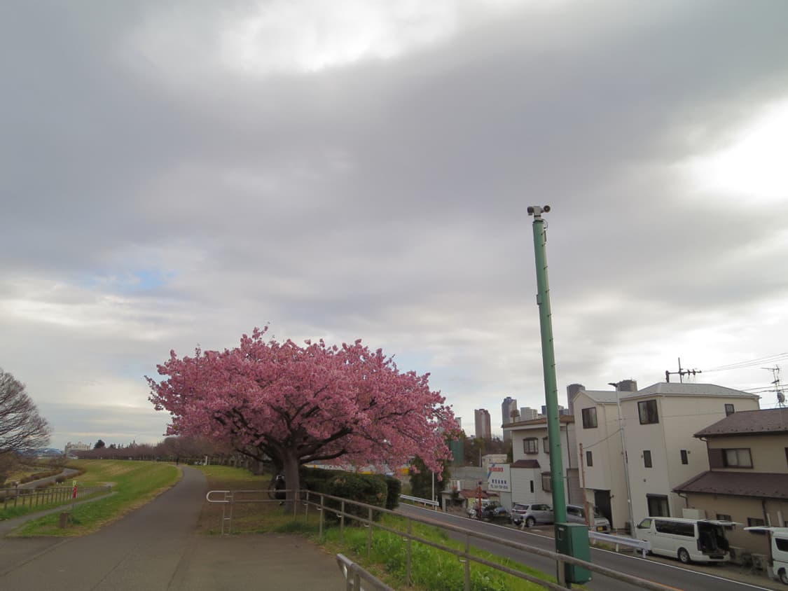 캐논 익서스 Canon IXUS 255 HS 블랙(IXY610F 익시 6 상품이미지2