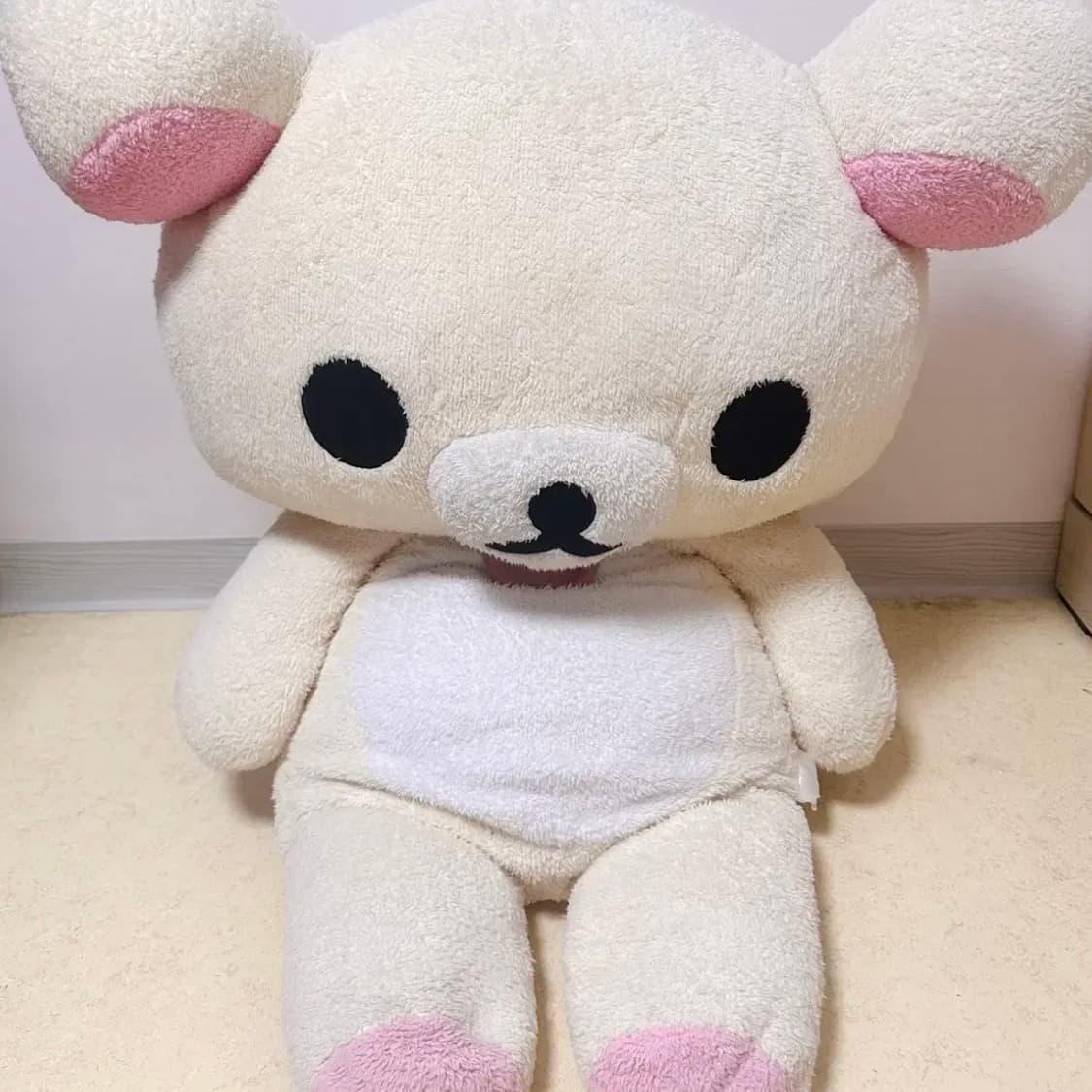 마지막 할인1/16,일괄)산엑스 100cm 장모 특대 코리락쿠마 후와 상품이미지2