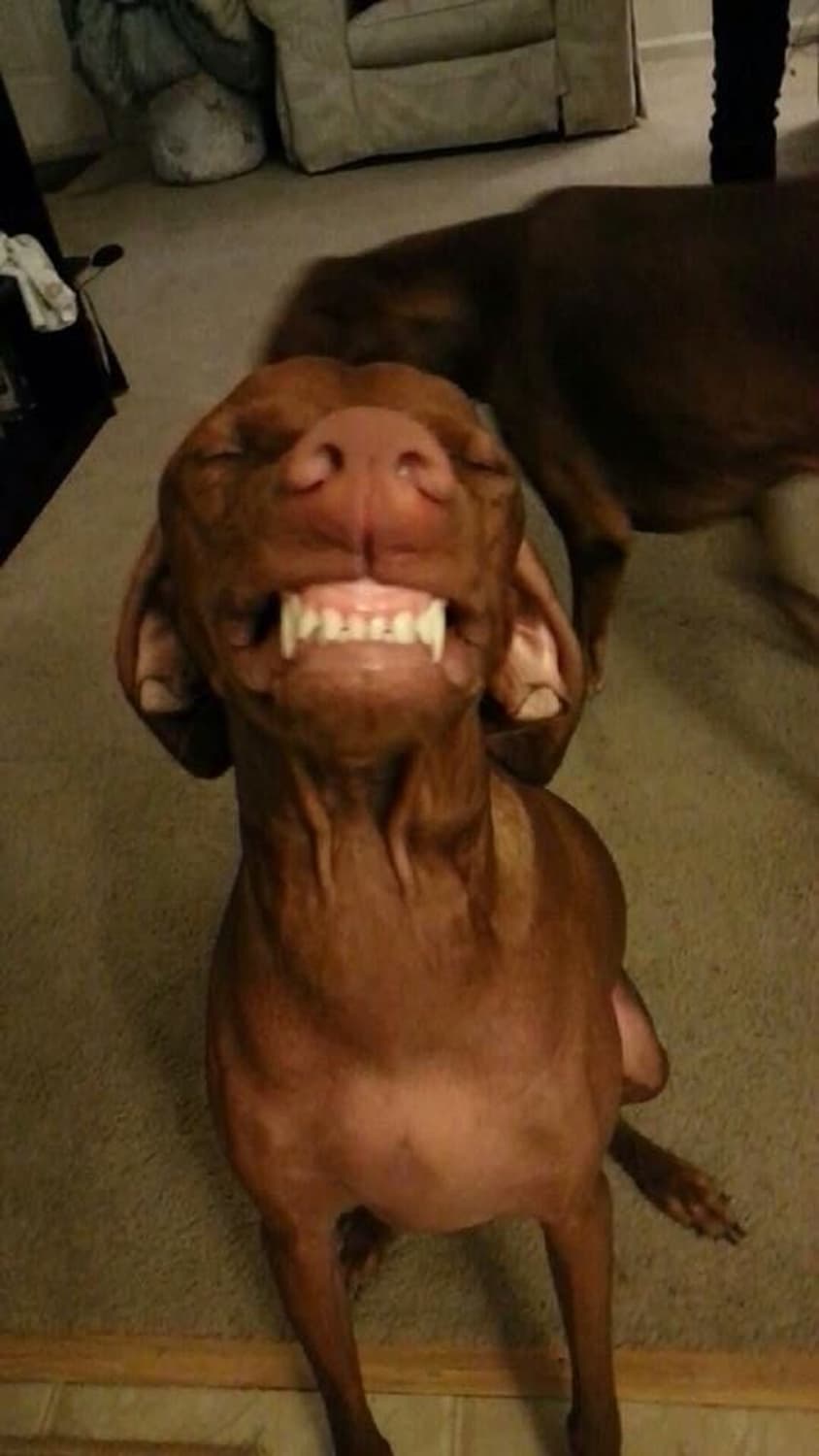 *eqnard님 결제창* 상품이미지1