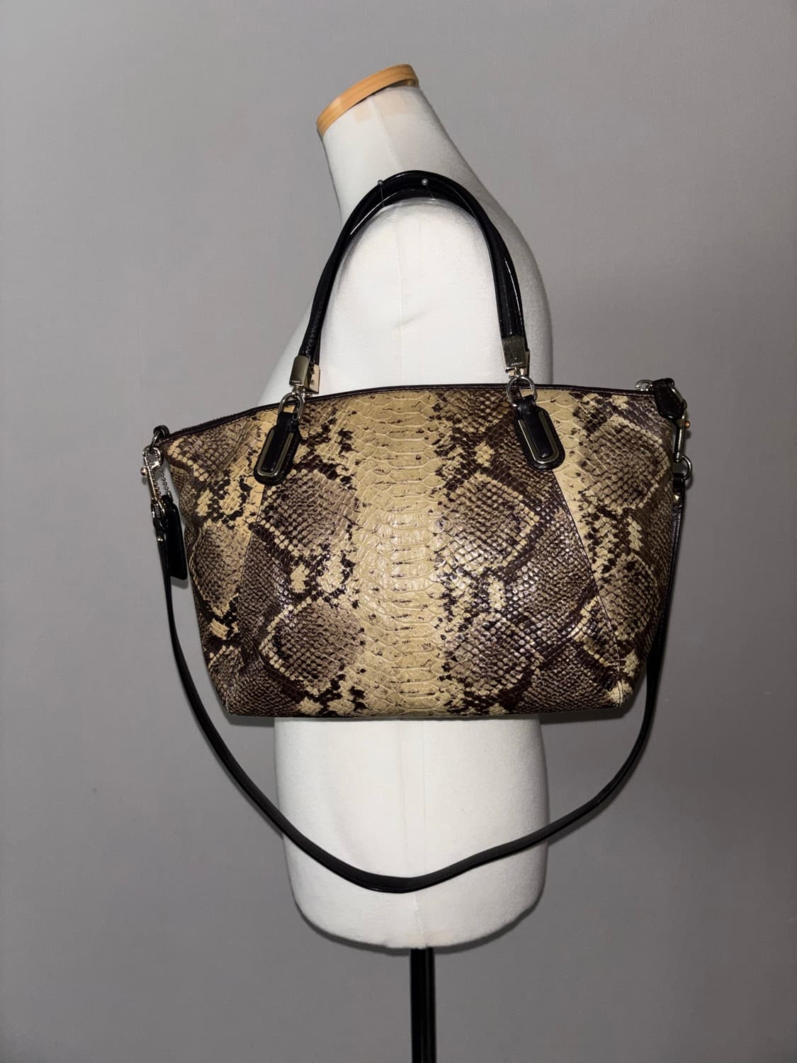 Coach snake pattern bag 상품이미지2