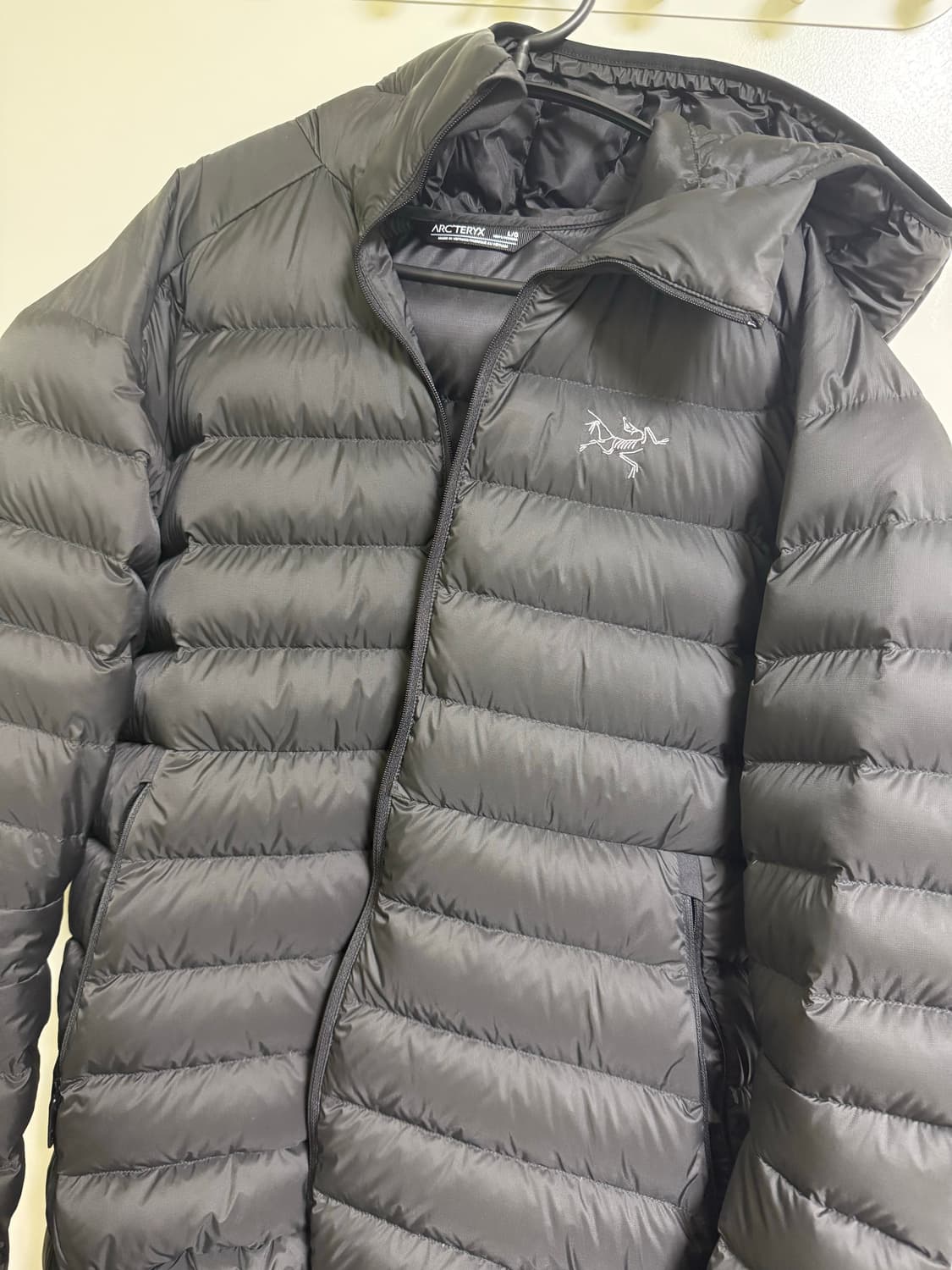 아크테릭스 세륨 후디 L 상품이미지1