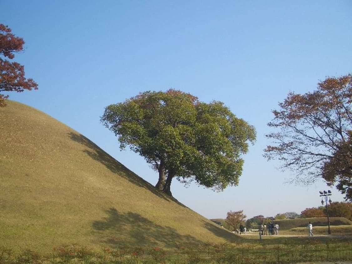 ex-z55 상품이미지2