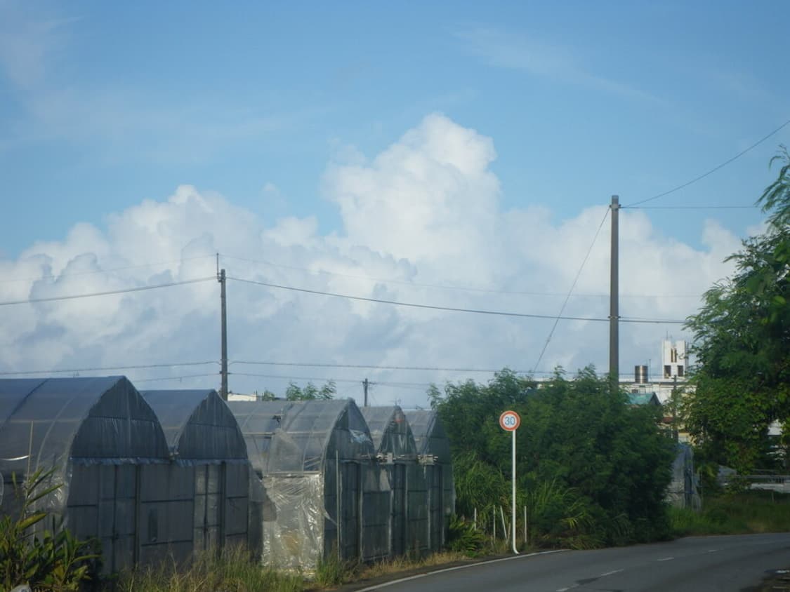 펜탁스 옵티오 Pentax Optio W60 블루 상품이미지3