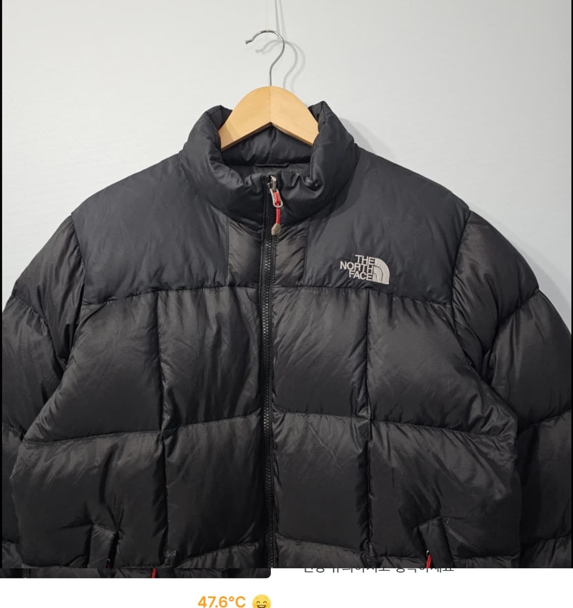 노스페이스 눕시 Summit 800 구스다운 패딩 100 상품이미지2