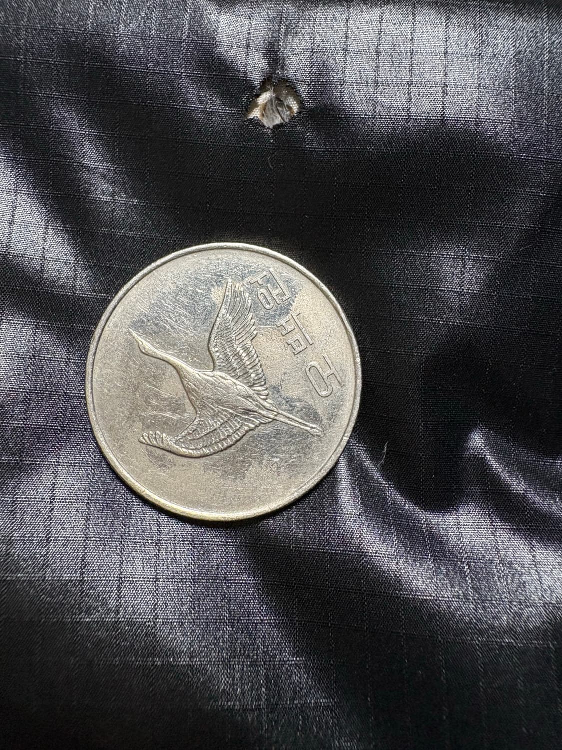 켈빈클라인 패딩 팝니다! 상품이미지5