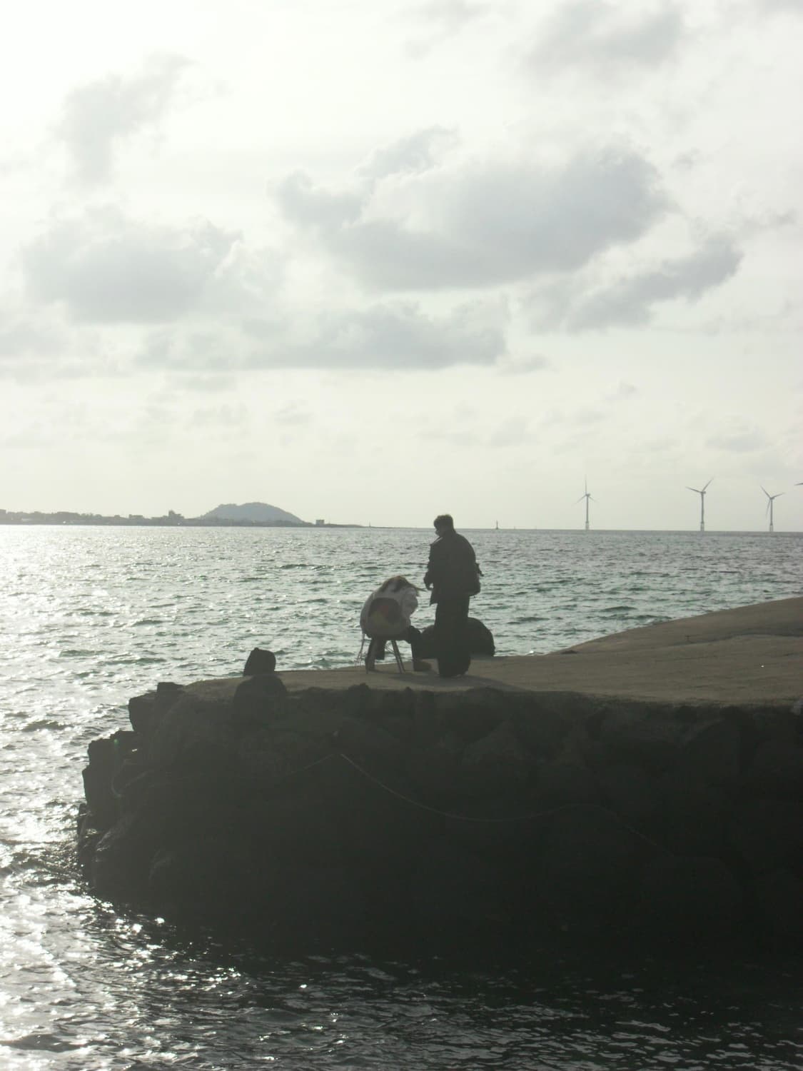 삼성 vluu pl50 작례있음 상품이미지8