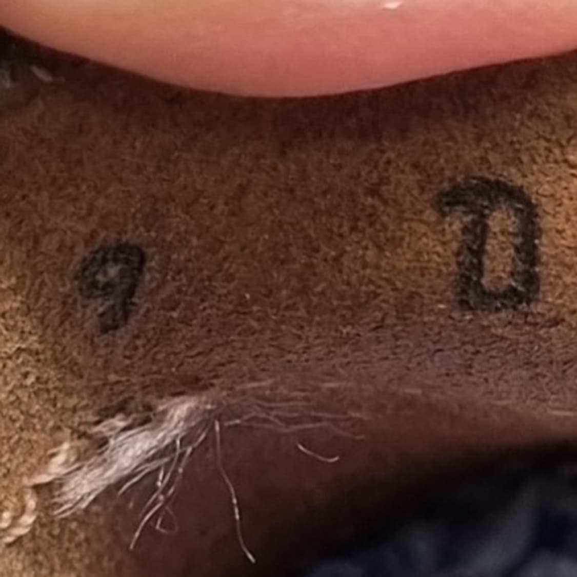 bass 바스 위준 남성로퍼 260 상품이미지6