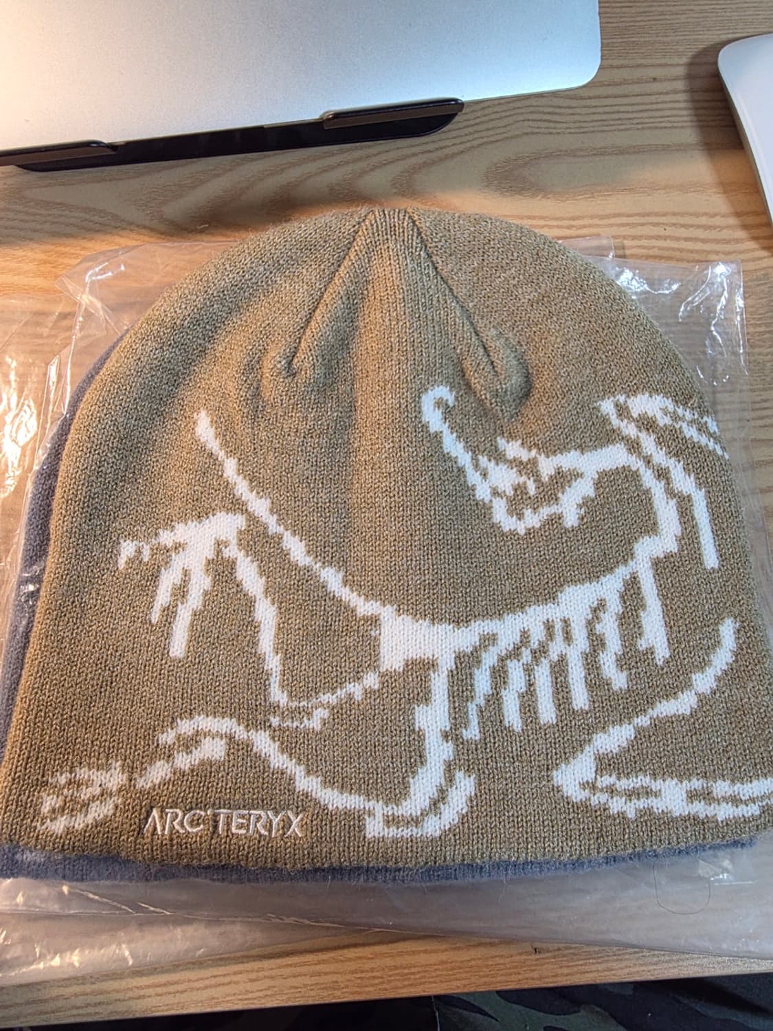 아크테릭스 버드헤드 비니 그레이 컬러 상품이미지3