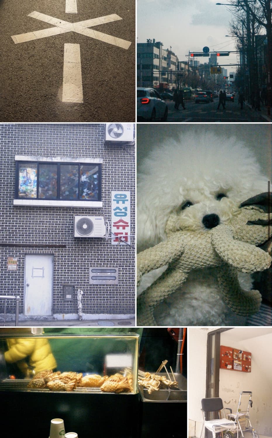 리코 RDC-5000 디지털 카메라 상품이미지4