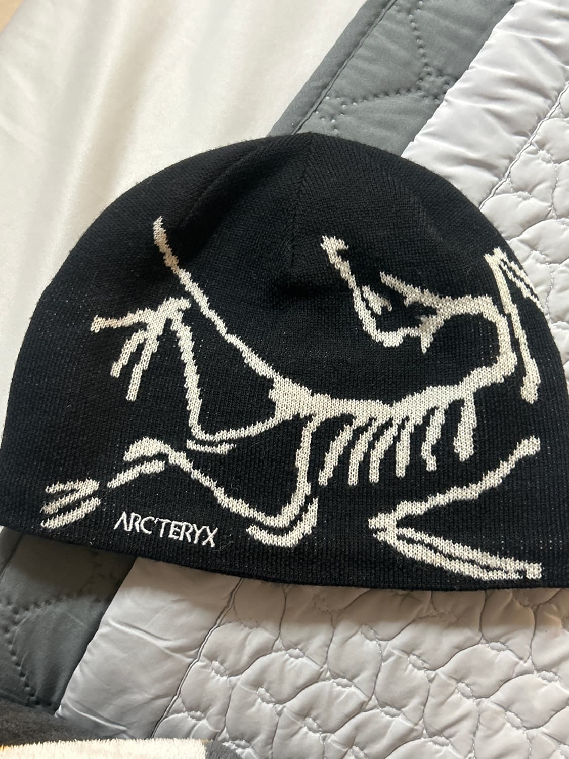 아크테릭스 버드 헤드 토크 오르카 블랙 비니 상품이미지2