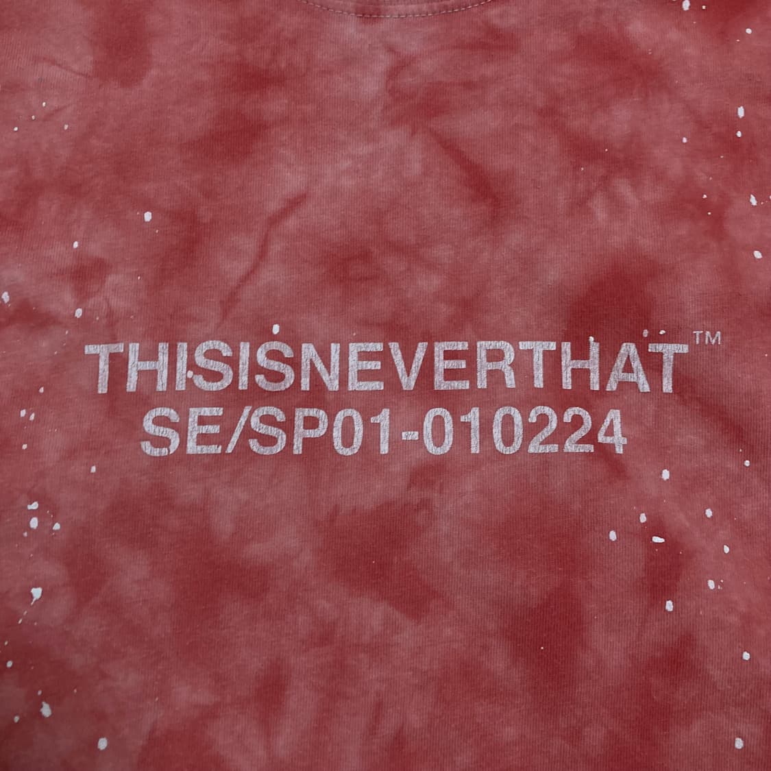 디스이즈네버댓 스펠아웃 로고 타이다이 반팔티 상품이미지2
