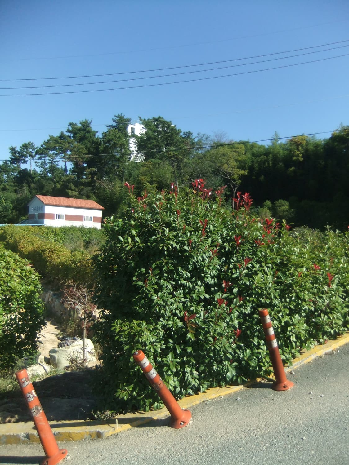 ⭐️추천템⭐️소니 사이버샷 DSC-W170 디카 상품이미지5