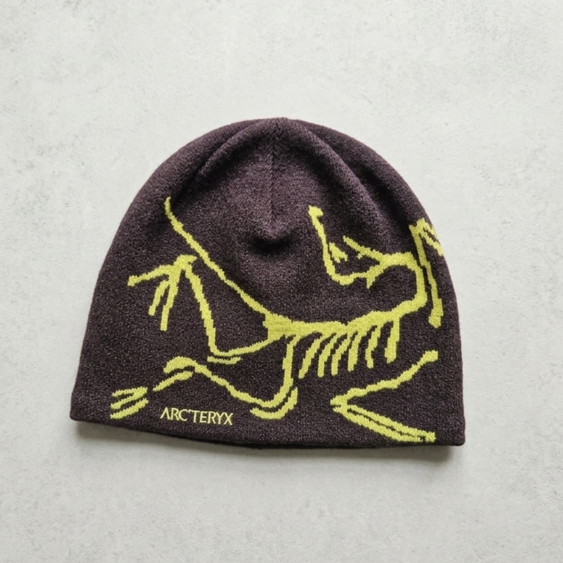 아크테릭스 버드 헤드 토크 판타즘 유포리아 비니 상품이미지1