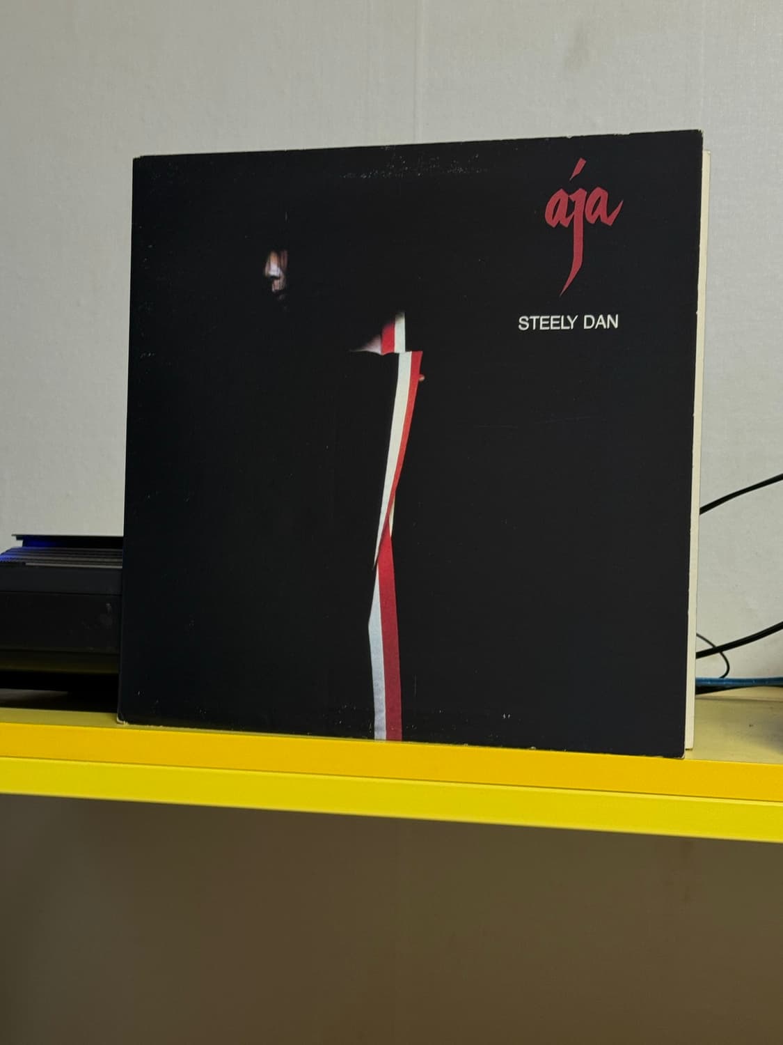 [Rock] Steely Dan (스틸리 댄) LP 판매해요 상품이미지1