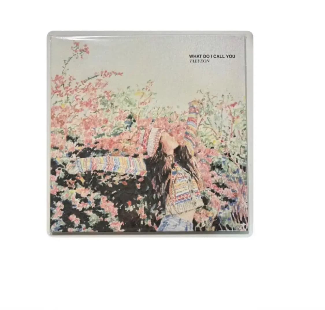 태연 WHAT DO I CALL YOU 개봉 엘피 LP 상품이미지1