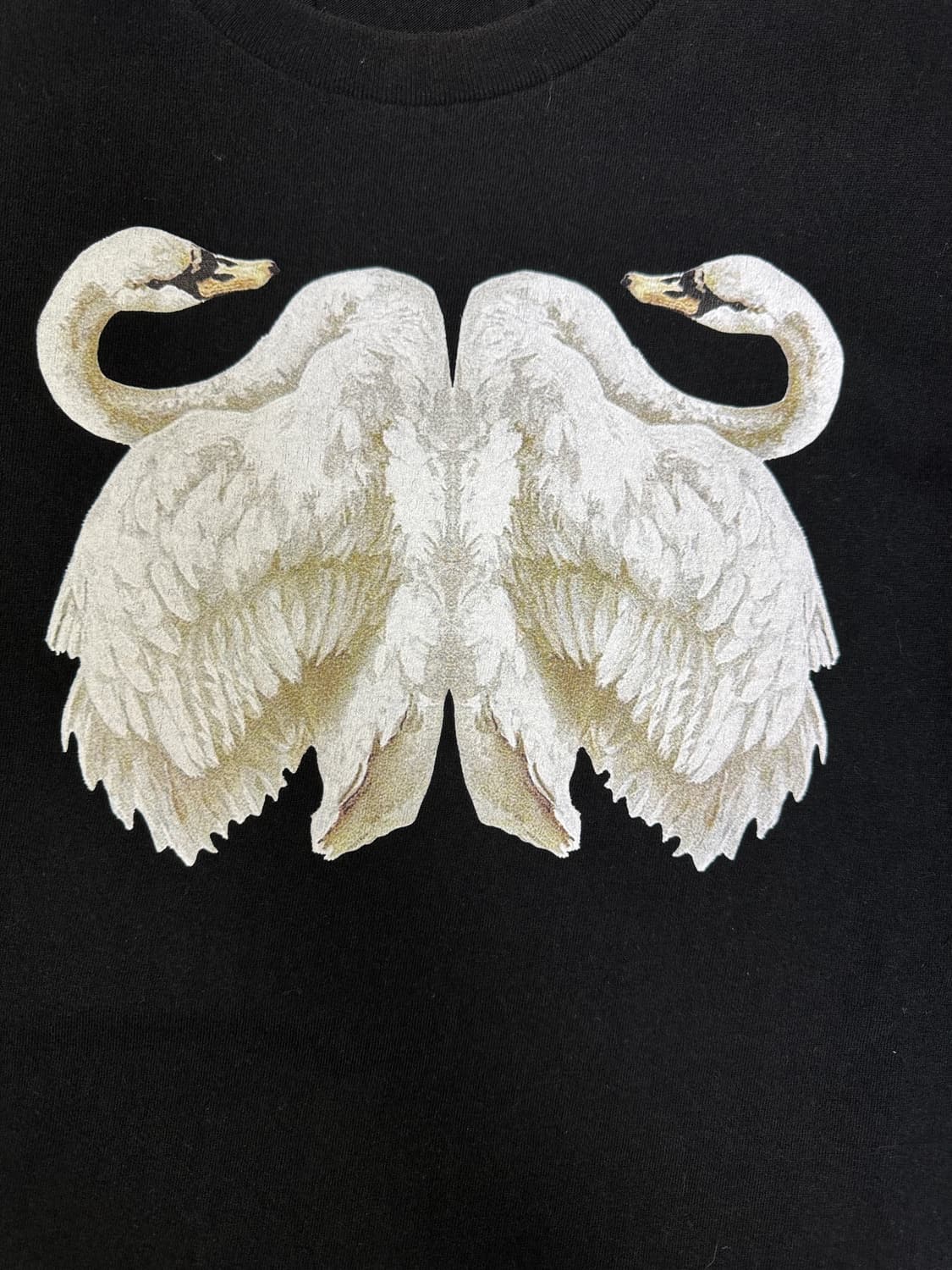 파메오 포즈 PAMEO POSE 스완 백조 프린팅 티셔츠 OS 상품이미지2