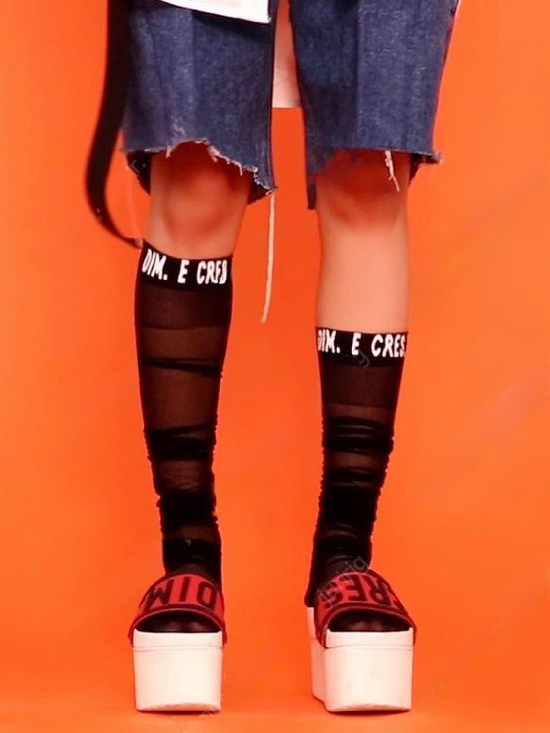 딤에크레스 시스루 로고 니삭스 블랙 상품이미지1