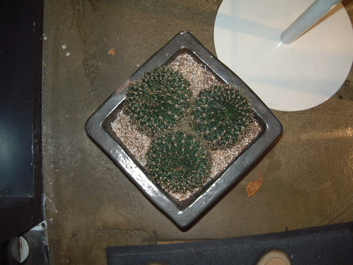 스미카케이블/박스)후지필름 파인픽스 4700z 빈티지디카 상품이미지10