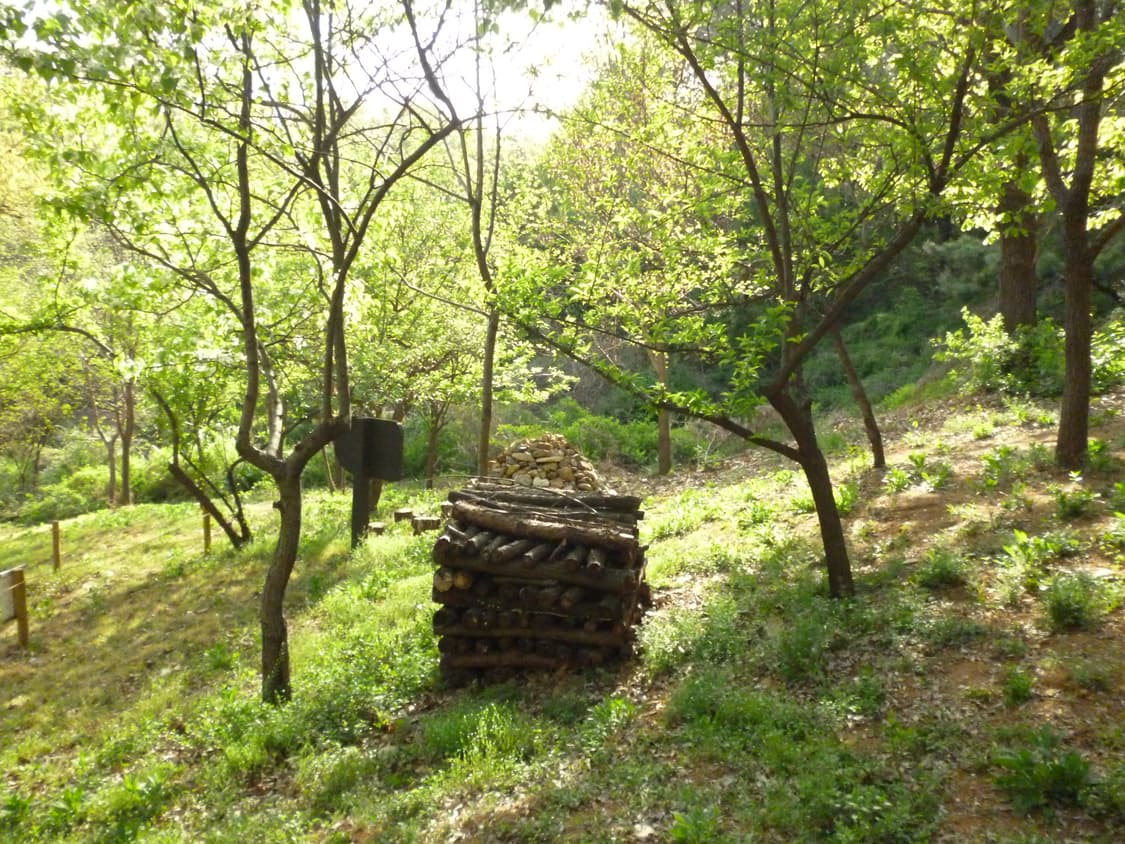 (츄디카/작례O) 파나소닉 루믹스 DMC-S1 빈티지 디카 상품이미지5