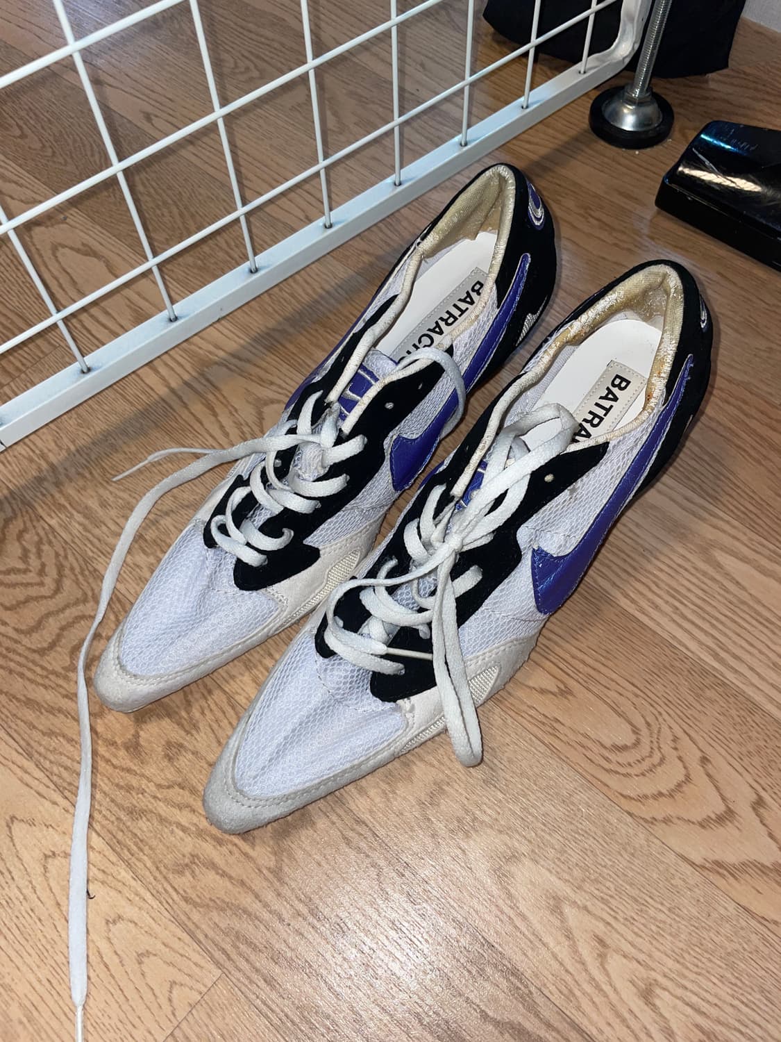 Batrachotoxin 250사이즈 상품이미지2