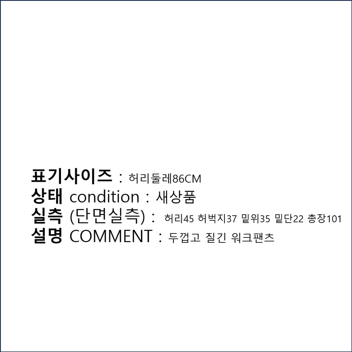 리바이스 듀라블 유틸리티 카고팬츠 N0089 상품이미지2