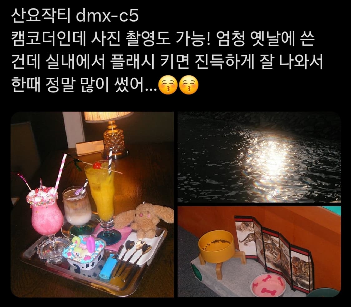 산요 작티 c5 디토캠 웨딩스냅 디카 상품이미지7