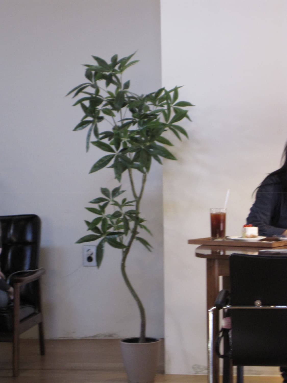 [작례O]캐논 Canon IXY110IS 오렌지 상품이미지7