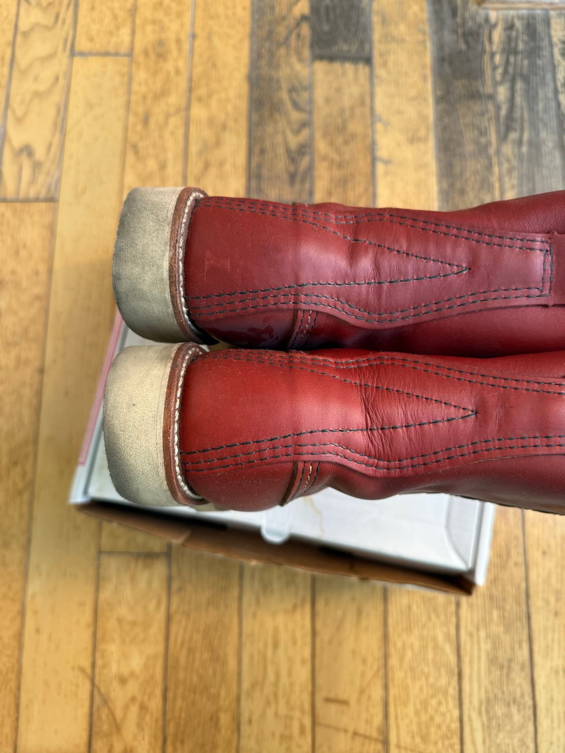 레드윙 아이리쉬세터 상품이미지4