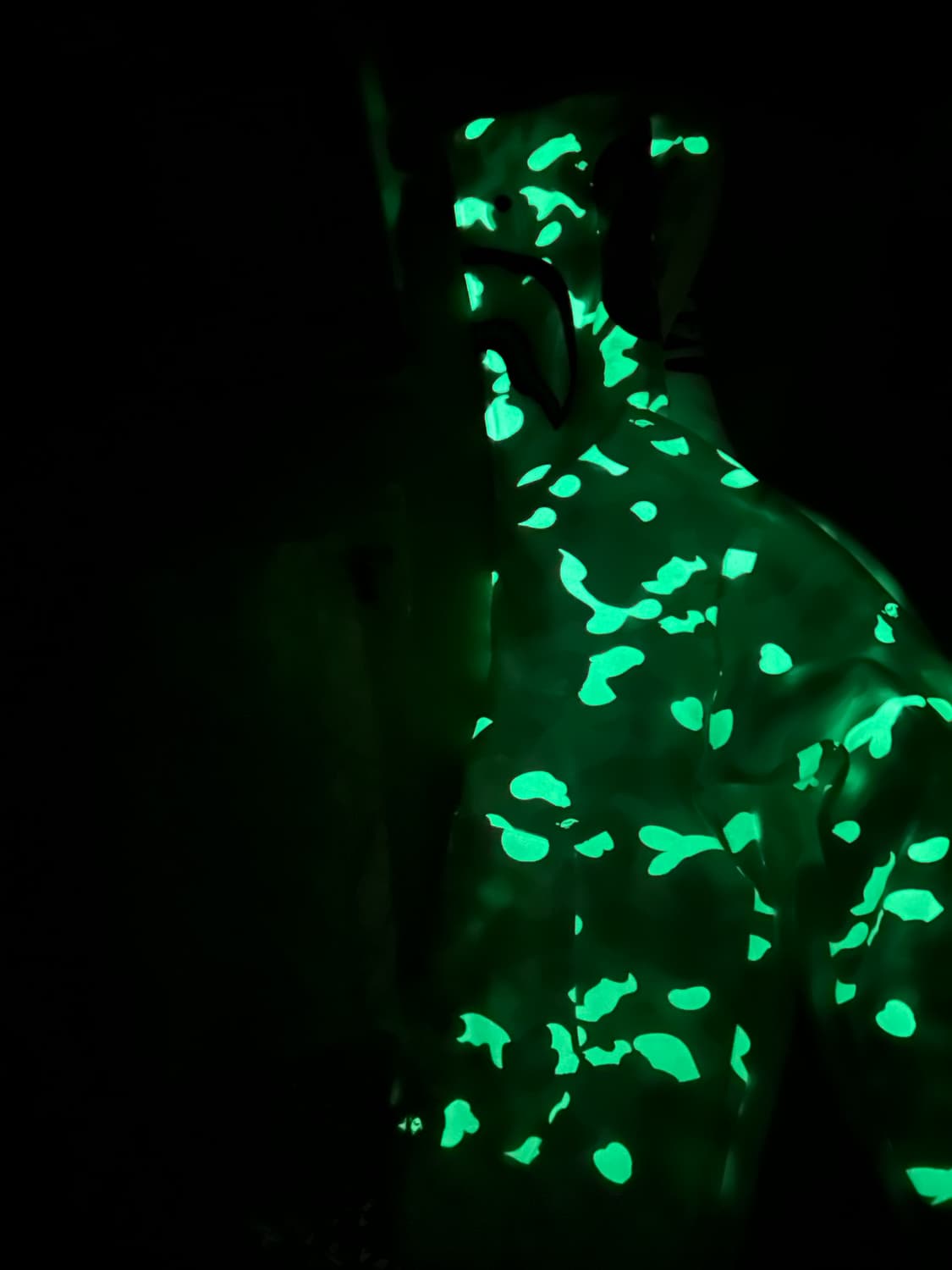 베이프 시티카모 타이거 샤크 풀 집 후디 상품이미지2