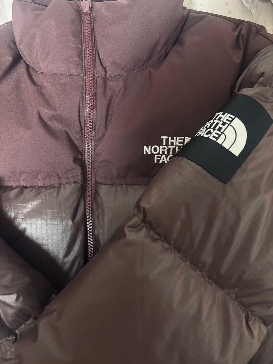 노페 눕시 코코아브라운 S!! 상품이미지5