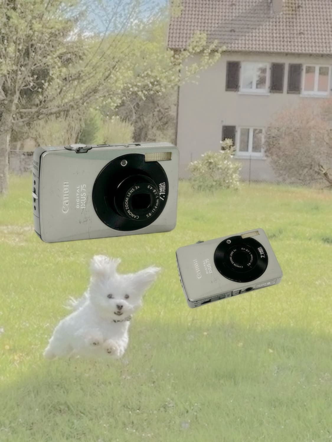 인기!) 캐논 익서스 75 ixus 빈티지 디카 상품이미지1