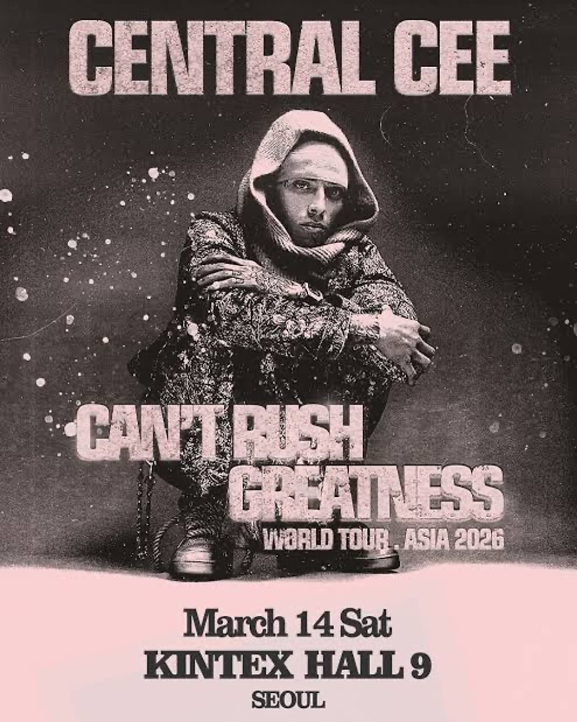 센트럴씨 내한 공연 B구역 32nn번 연석 판매합니다 상품이미지1