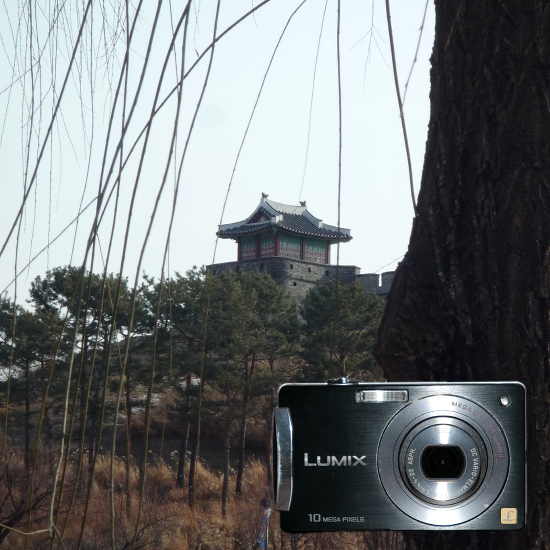 LUMIX DMC-FX500(✨민트급/🎁풀패키지) 상품이미지2