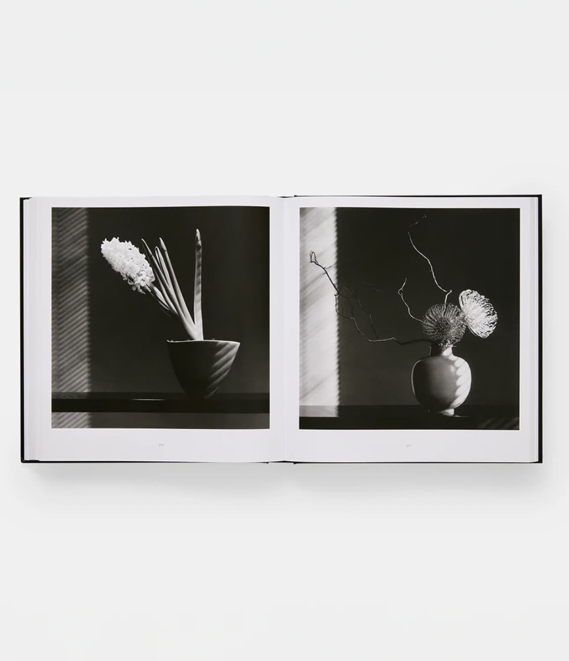 미개봉 / MAPPLETHORPE 로버트 메이플소프 플로라 사진집 상품이미지6