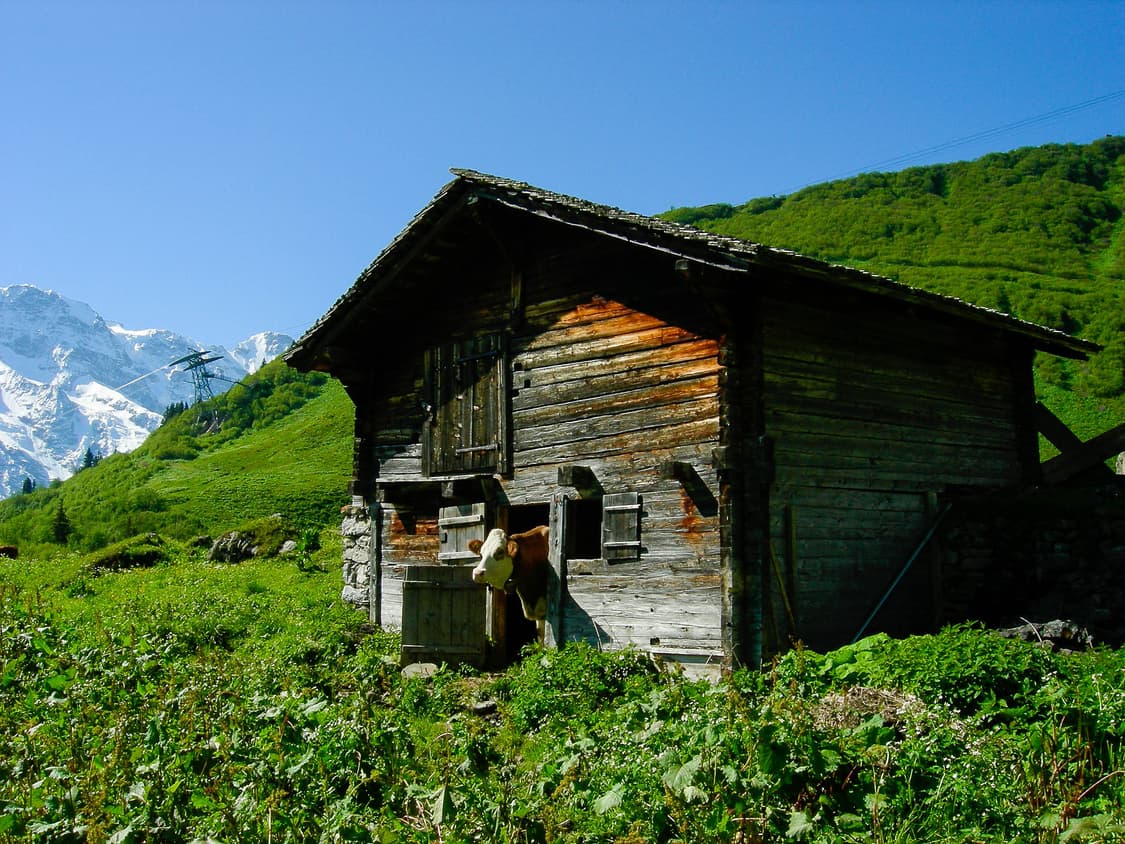 작례O 하이엔드 명품 니콘 쿨픽스 p2 디지털카메라 빈티지 디카 상품이미지5