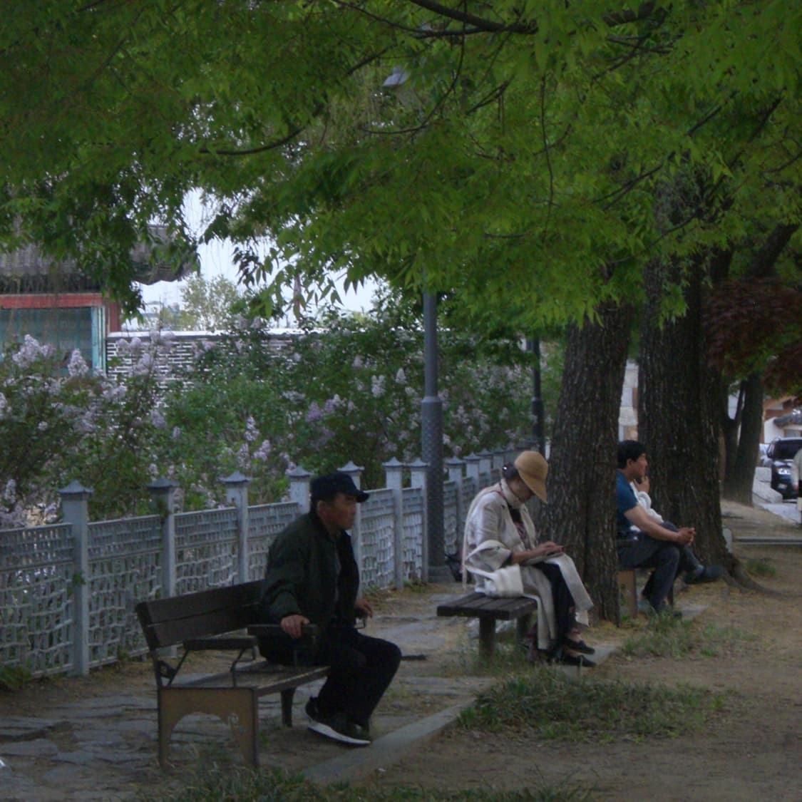 Casio EX-Z500 (✨A급/🎁풀패키지) 상품이미지10