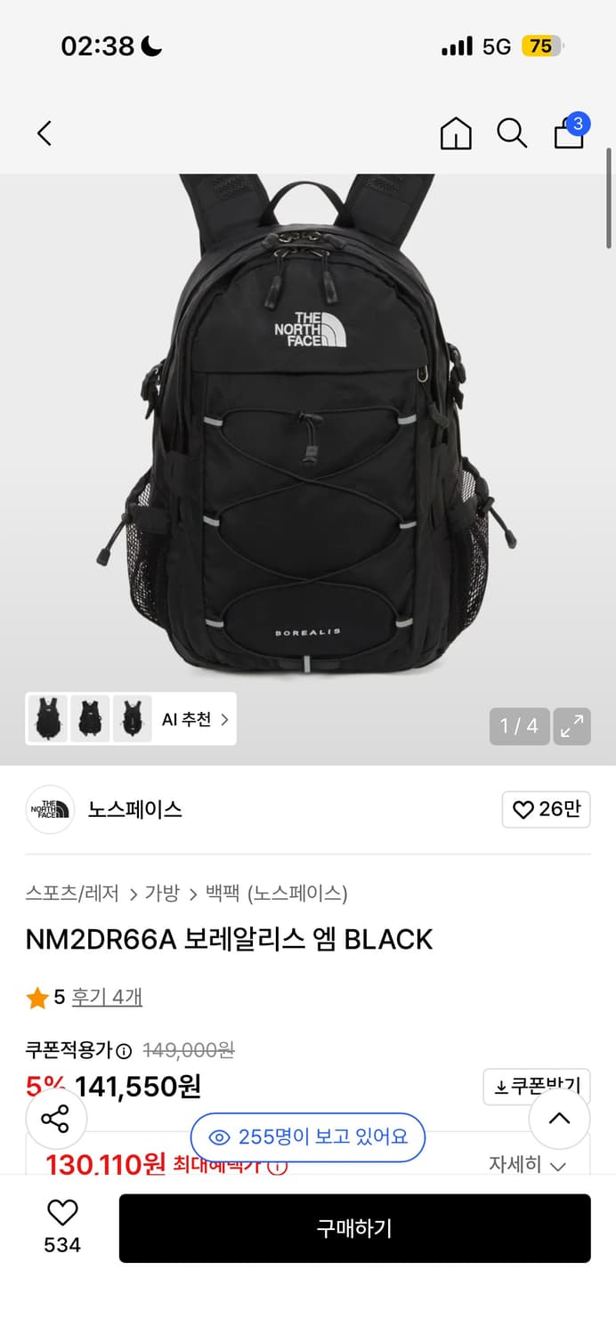 노스페이스 백팩 상품이미지1