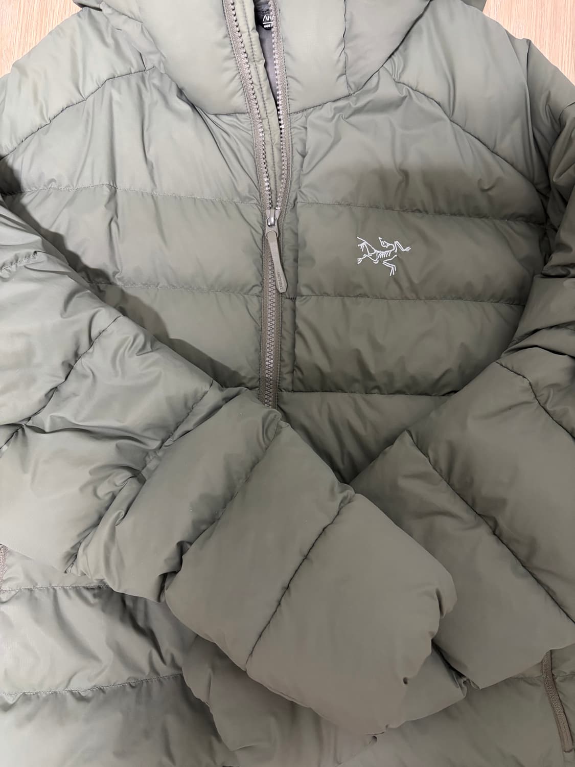 아크테릭스 토륨 포리지 L 상품이미지2