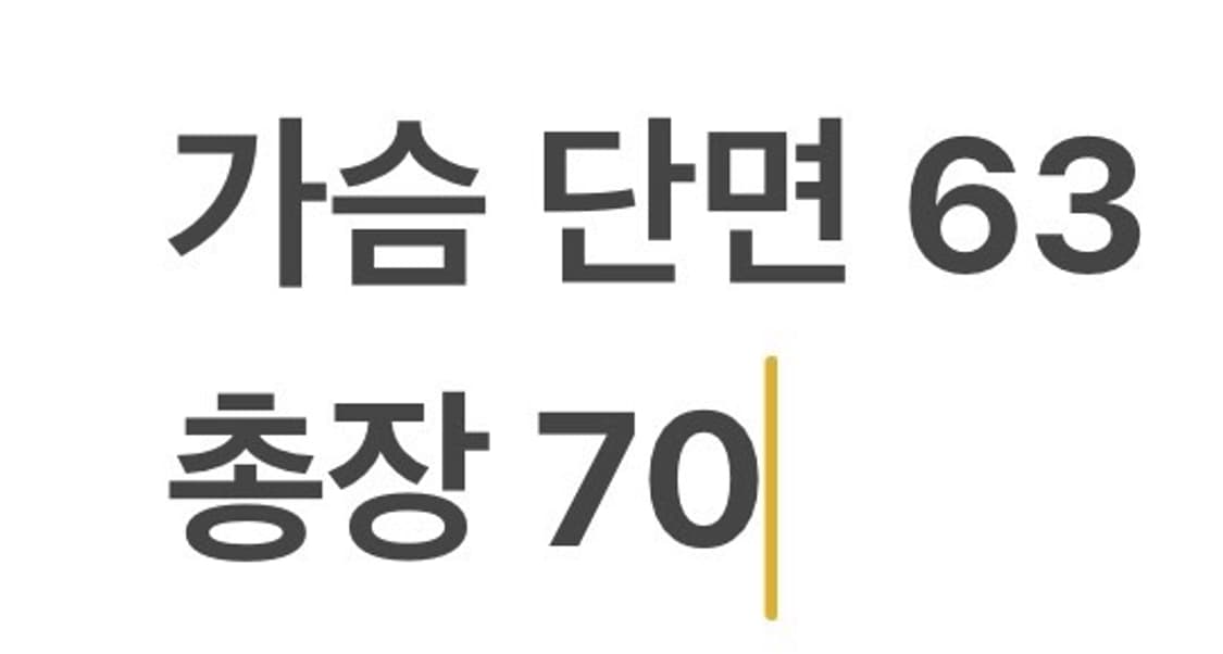 [정품/L] 아크테릭스 스트라토 플리스자켓 b19 상품이미지8