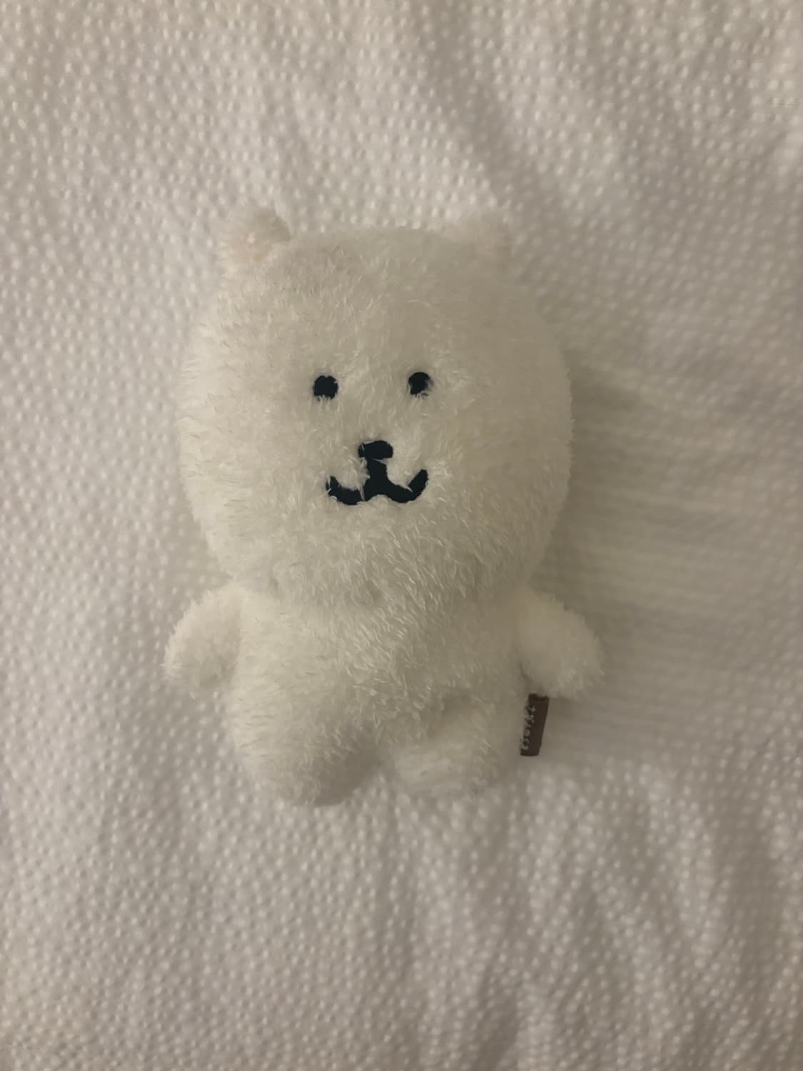 나가노마켓 보슬보슬 농담곰 상품이미지1