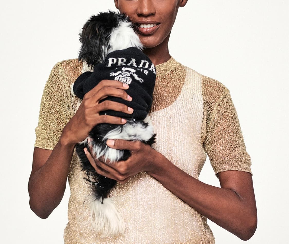 새상품 프라다 로고 캐시미어 울 니트 강이지 옷  상품이미지4